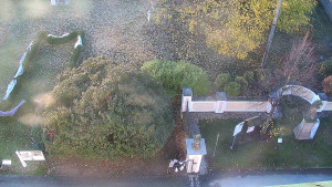 Obec Veselíčko - Veselíčko - zahrada u zámku - 31.10.2025 v 07:00 Obec Veselíčko - Veselíčko - zahrada u zámku - 31.10.2025 v 07:00