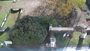 Obec Veselíčko - Veselíčko - zahrada u zámku - 31.10.2025 v 11:30 Obec Veselíčko - Veselíčko - zahrada u zámku - 31.10.2025 v 11:30