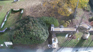 Obec Veselíčko - Veselíčko - zahrada u zámku - 31.10.2025 v 12:30 Obec Veselíčko - Veselíčko - zahrada u zámku - 31.10.2025 v 12:30