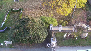 Obec Veselíčko - Veselíčko - zahrada u zámku - 31.10.2025 v 15:30 Obec Veselíčko - Veselíčko - zahrada u zámku - 31.10.2025 v 15:30