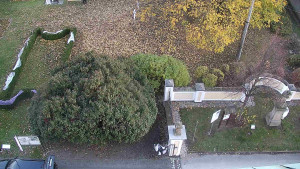 Obec Veselíčko - Veselíčko - zahrada u zámku - 31.10.2025 v 16:30 Obec Veselíčko - Veselíčko - zahrada u zámku - 31.10.2025 v 16:30