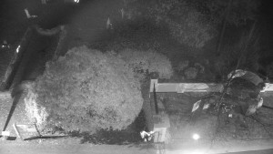 Obec Veselíčko - Veselíčko - zahrada u zámku - 31.10.2025 v 17:30 Obec Veselíčko - Veselíčko - zahrada u zámku - 31.10.2025 v 17:30