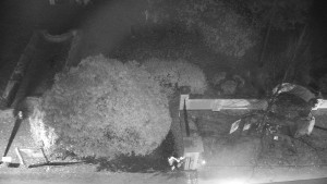 Obec Veselíčko - Veselíčko - zahrada u zámku - 31.10.2025 v 20:00 Obec Veselíčko - Veselíčko - zahrada u zámku - 31.10.2025 v 20:00