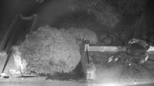 Obec Veselíčko - Veselíčko - zahrada u zámku - 31.10.2025 v 20:30 Obec Veselíčko - Veselíčko - zahrada u zámku - 31.10.2025 v 20:30