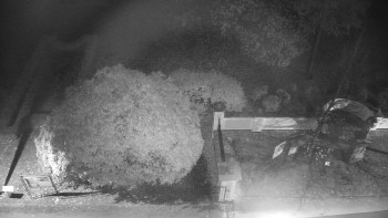 Snímek    31.10.2025 v 22:00