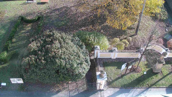 Snímek    1.11.2025 v 13:30