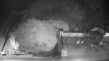 Snímek    2.11.2025 v 23:00