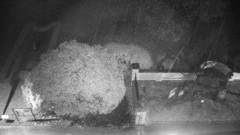 Snímek    2.11.2025 v 23:30