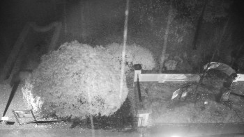 Snímek    3.11.2025 v 01:00