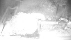 Veselíčko - zahrada u zámku