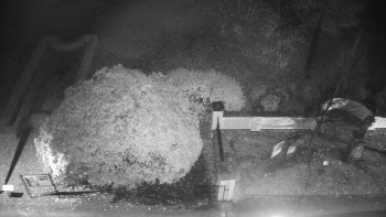 Snímek    3.11.2025 v 02:30