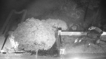 Snímek    3.11.2025 v 03:00