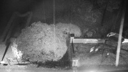 Veselíčko - zahrada u zámku