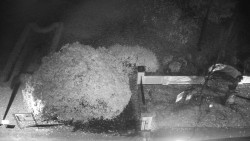 Veselíčko - zahrada u zámku