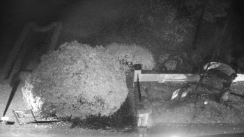 Snímek    3.11.2025 v 05:00