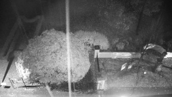 Snímek    3.11.2025 v 05:30