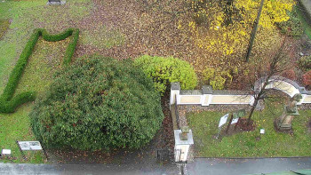 Snímek    3.11.2025 v 12:30