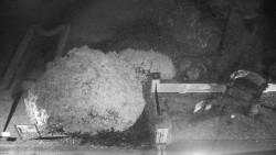 Veselíčko - zahrada u zámku