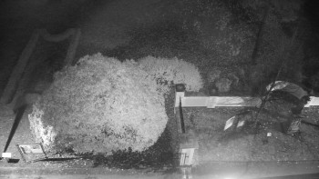 Snímek    4.11.2025 v 00:30