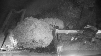 Snímek    4.11.2025 v 02:00