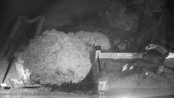 Snímek    4.11.2025 v 02:30