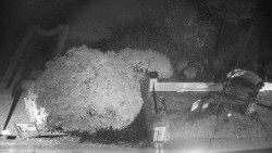 Veselíčko - zahrada u zámku