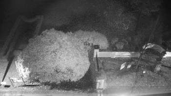 Snímek    4.11.2025 v 05:30