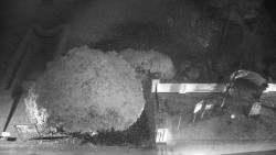 Veselíčko - zahrada u zámku