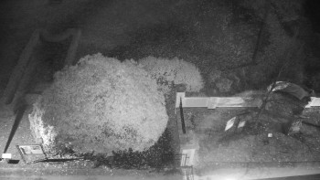 Snímek 5.11.2025 v 00:30