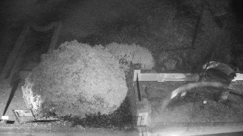 Snímek 5.11.2025 v 01:00