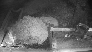 Snímek 5.11.2025 v 01:30