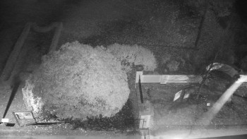 Snímek 5.11.2025 v 02:00