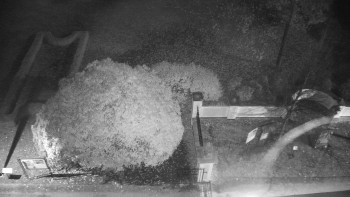 Snímek 5.11.2025 v 03:30