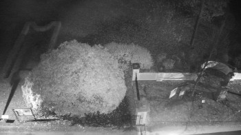 Snímek 5.11.2025 v 04:30