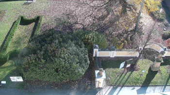 Snímek 5.11.2025 v 12:00