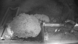 Veselíčko - zahrada u zámku