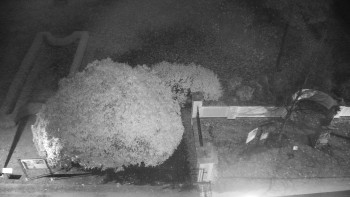 Snímek 6.11.2025 v 01:00