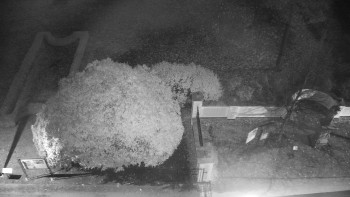 Snímek 6.11.2025 v 02:00