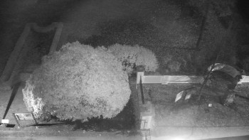 Snímek 6.11.2025 v 02:30