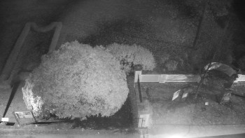 Snímek 6.11.2025 v 03:30