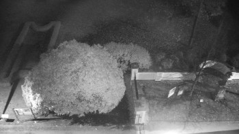 Snímek 6.11.2025 v 05:00