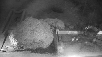 Snímek 6.11.2025 v 22:00