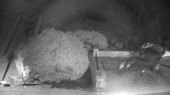 Snímek 6.11.2025 v 23:00