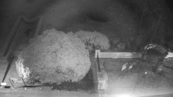 Veselíčko - zahrada u zámku