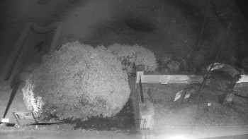 Snímek 7.11.2025 v 01:00