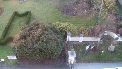 Veselíčko - zahrada u zámku