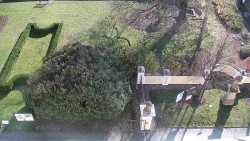 Veselíčko - zahrada u zámku