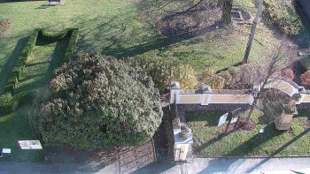 Snímek 7.11.2025 v 13:30