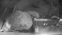 Veselíčko - zahrada u zámku