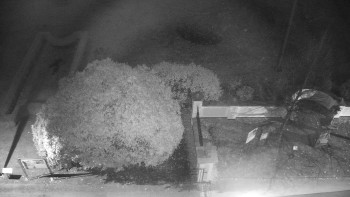 Snímek 7.11.2025 v 23:00